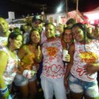 Bloco Skol Folia